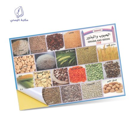 ملصقات الحبوب والبذور - Grains and seeds