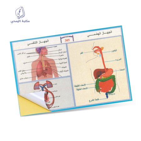 ملصقات الجهاز الهضمي والجهاز التنفسي 305